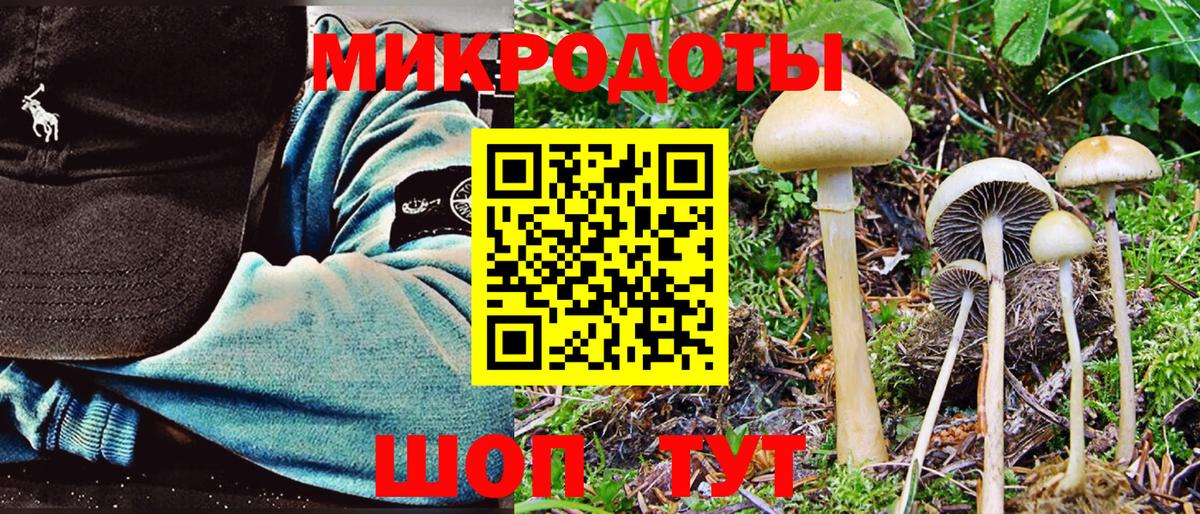 Галлюциногенные грибы Psilocybe Киржач